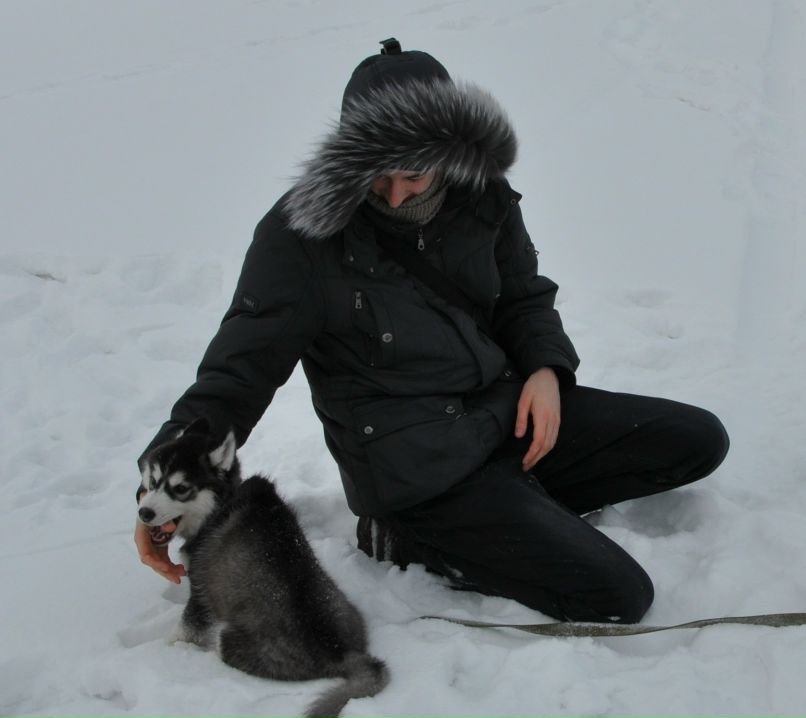 Сергей Маслов | Wellington