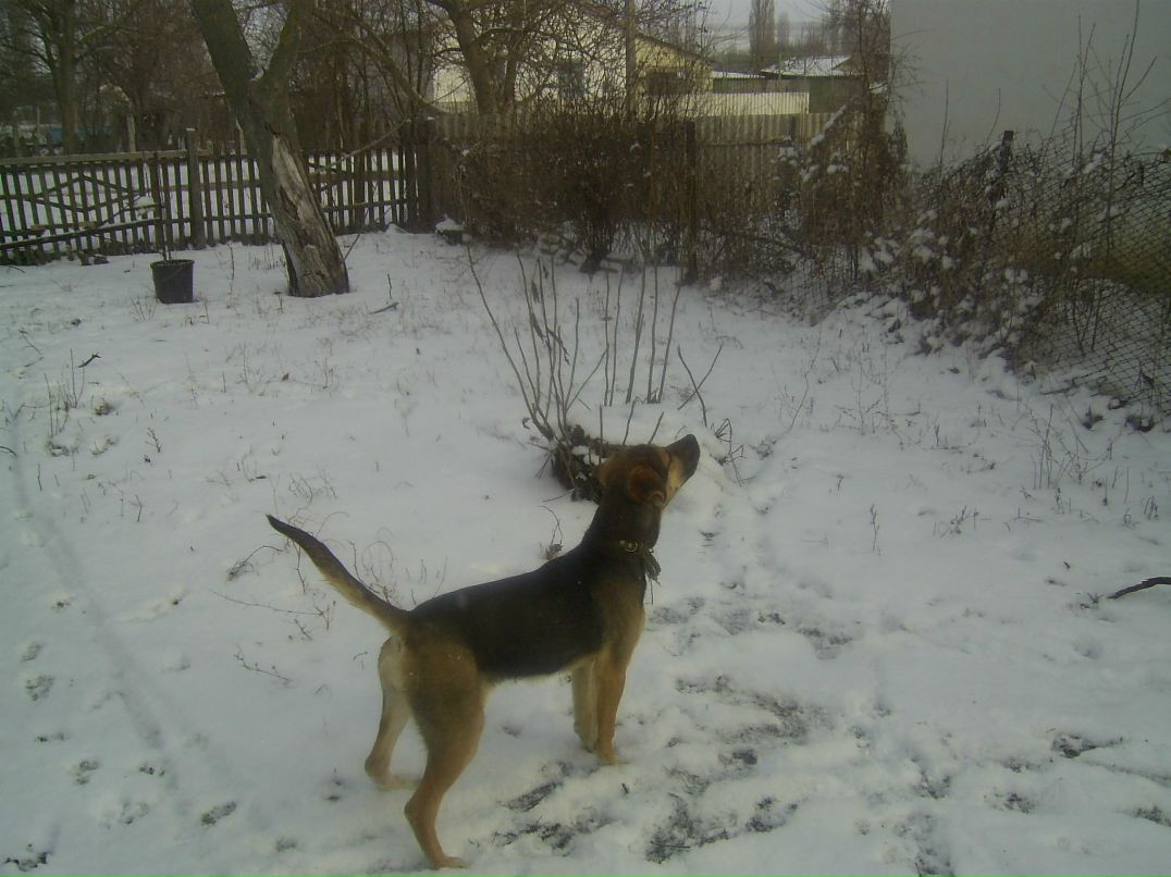 Александр Анисимов | Ялта