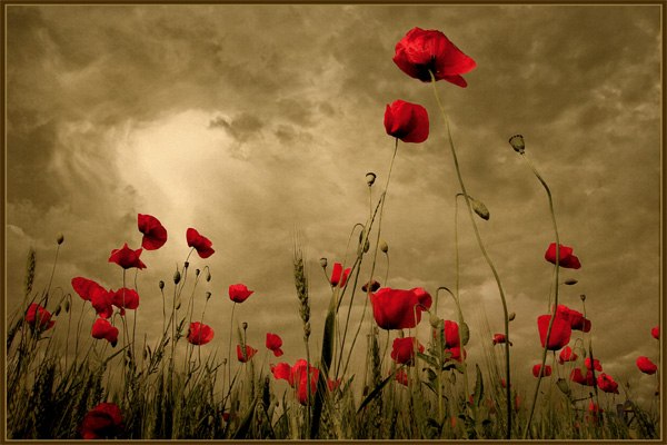 №117, Танечка Березенкова, 29 лет, Москва №117, Танечка Березенкова, 29 лет, Москва