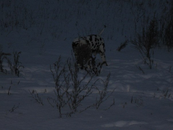 №59, Ольга Кузнецова, 69 лет, Москва №59, Ольга Кузнецова, 69 лет, Москва