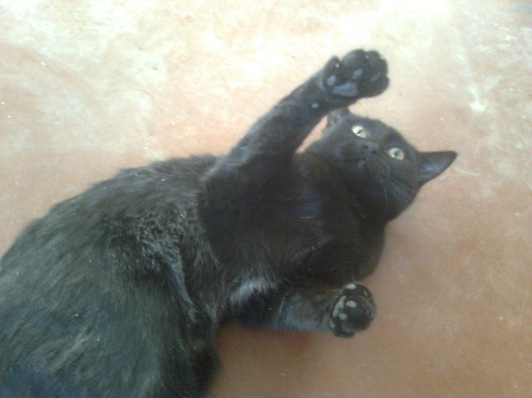 Алексей Трапезников | 