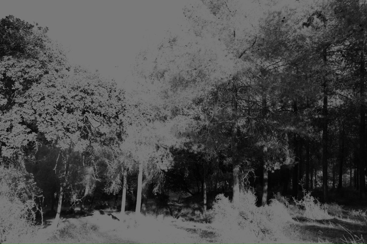 Илья Щербаков | Bat Yam