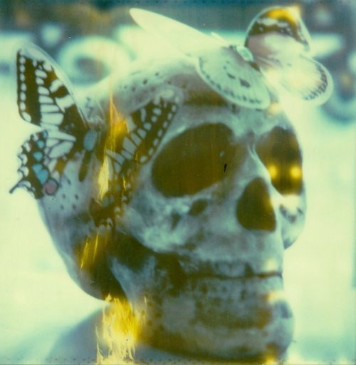 Светик Финогенова | Санкт-Петербург