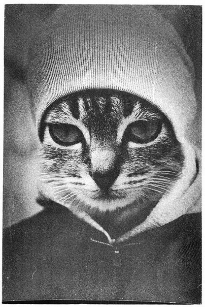 Артем Матущак кагбЭ в ахуе | Хмельницкий