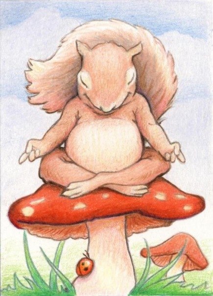 Рома Титаренко | Харьков