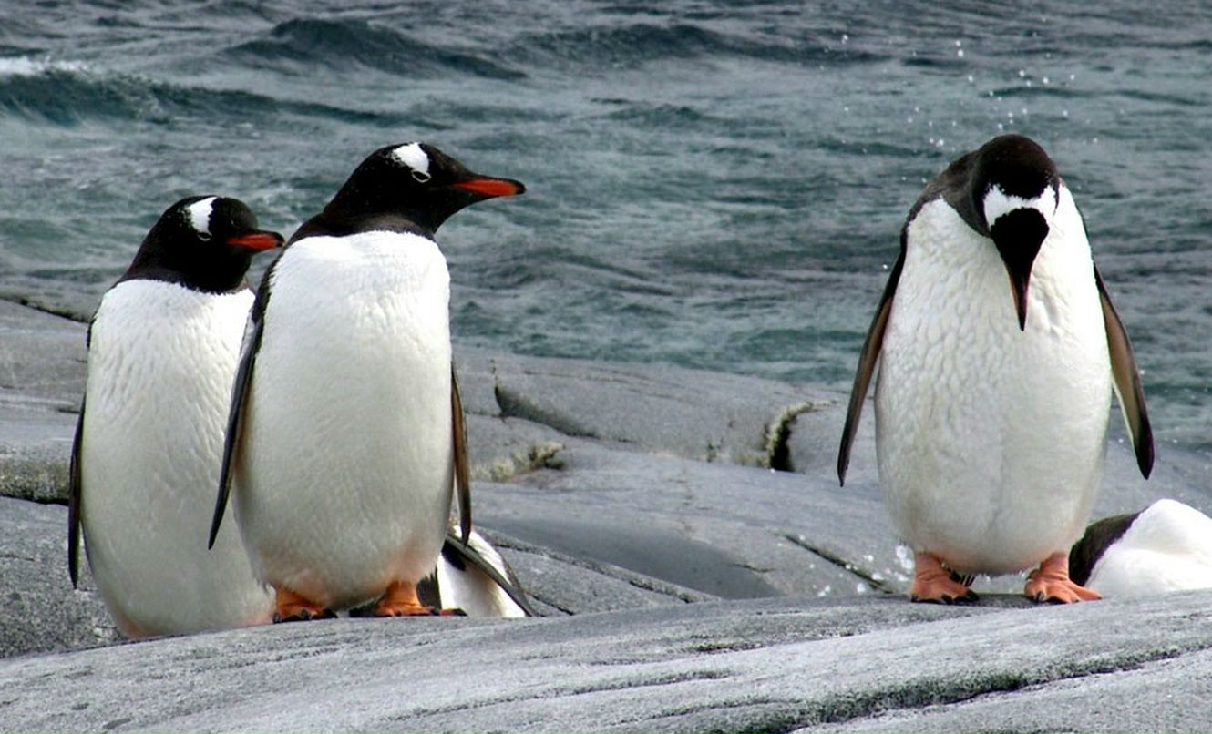 Юлиан Барабанов | Тольятти