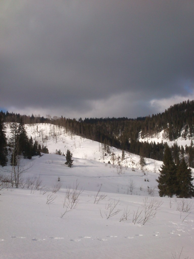 Александр Кабаці -=(tjoska)=- | 