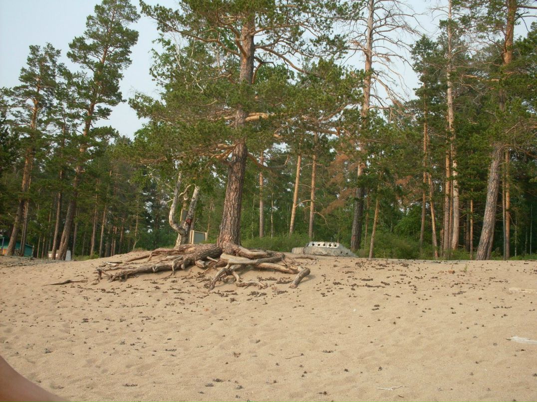 Антон Крестьянов | Чита