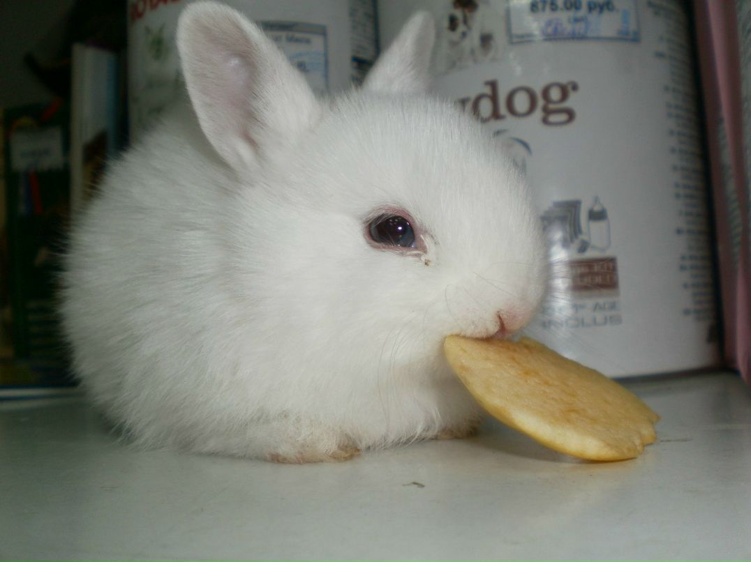 Вера Лыскина | Таганрог