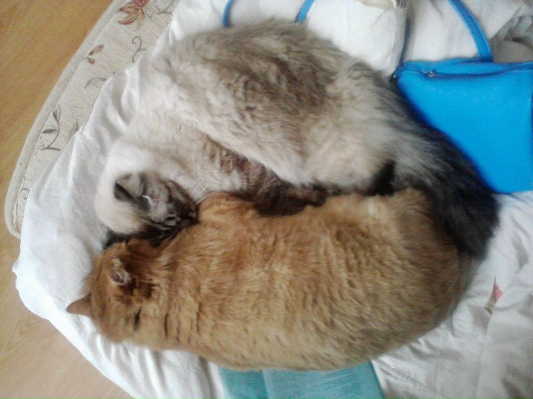 Mariter Mariter | Lyon