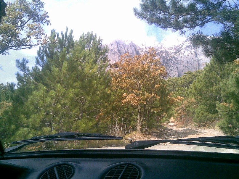 Александр Прожога | Ялта