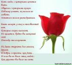 №26 Даша Наумова : профиль, фото, статус - ВКонтакте №26 Даша Наумова : профиль, фото, статус - ВКонтакте