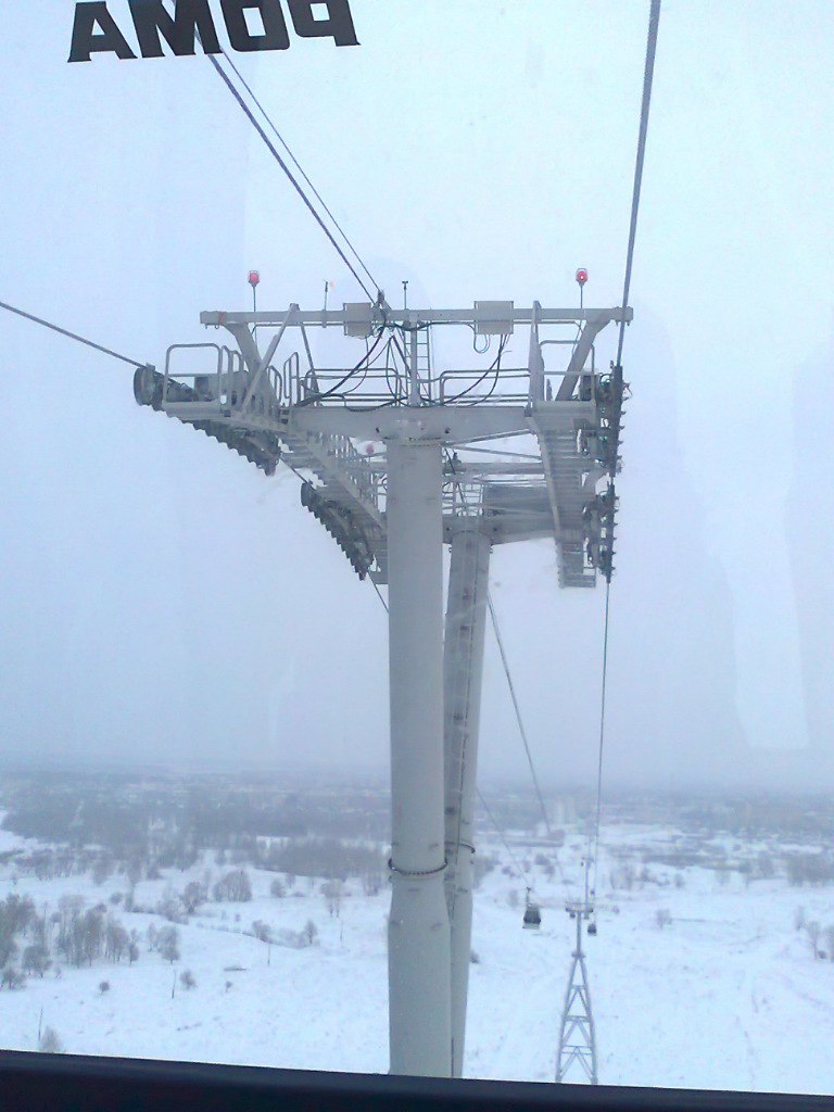 Евгения Белова | Бор