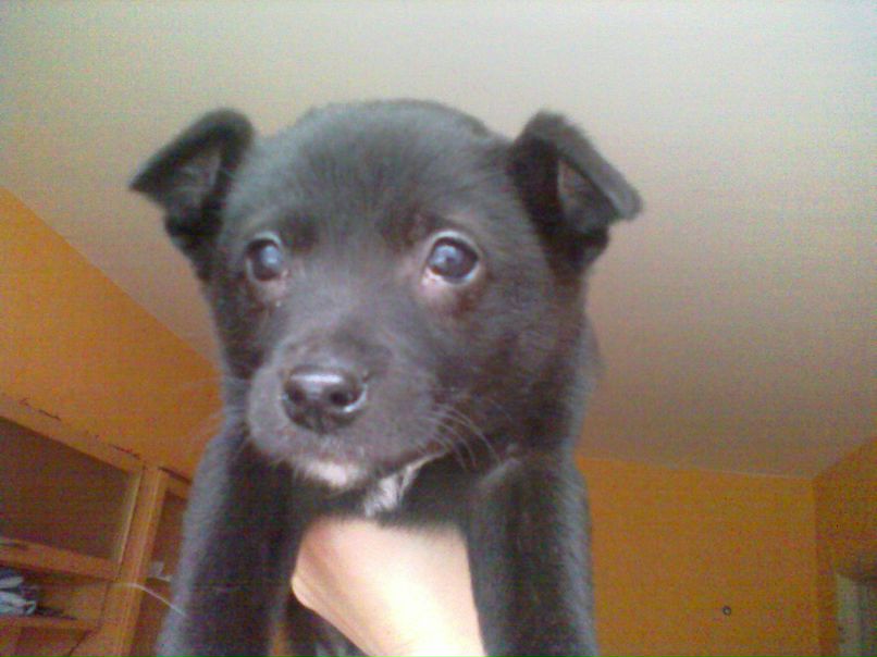 Санька Родионова | Москва