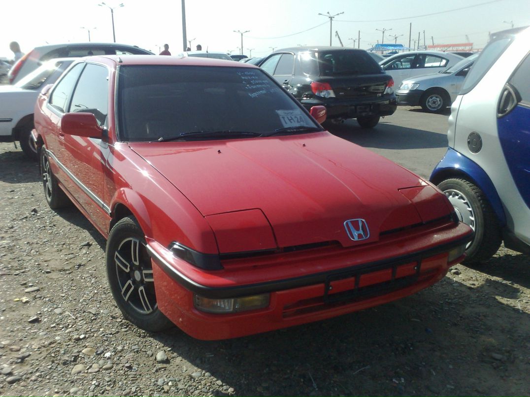 Кристина Петросян | Красноярск