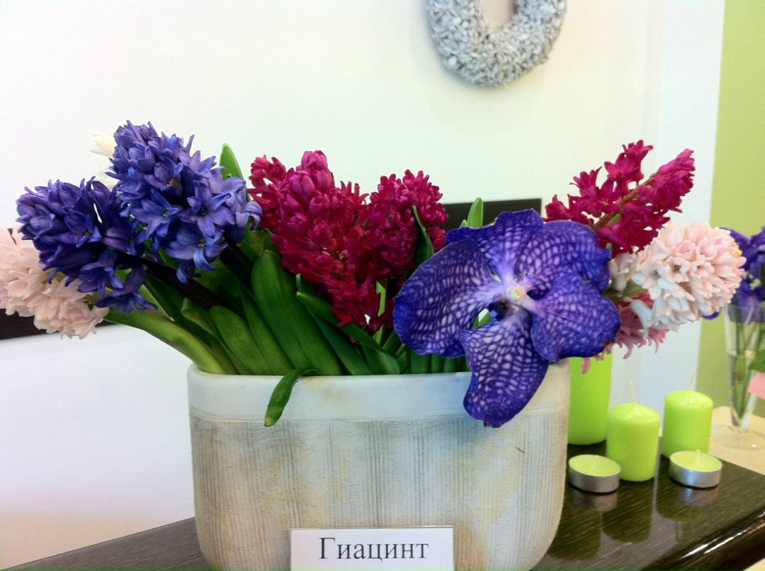 Катя Копосова | Одесса