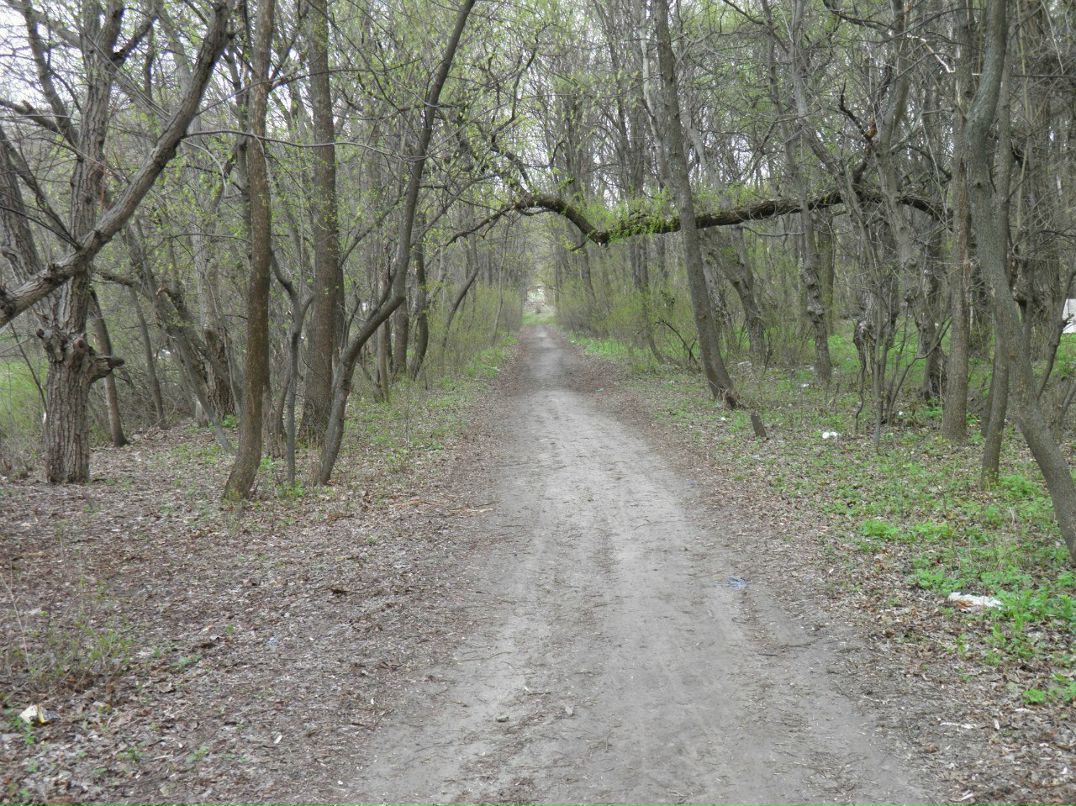 Александр Маласай | Днепр (Днепропетровск)