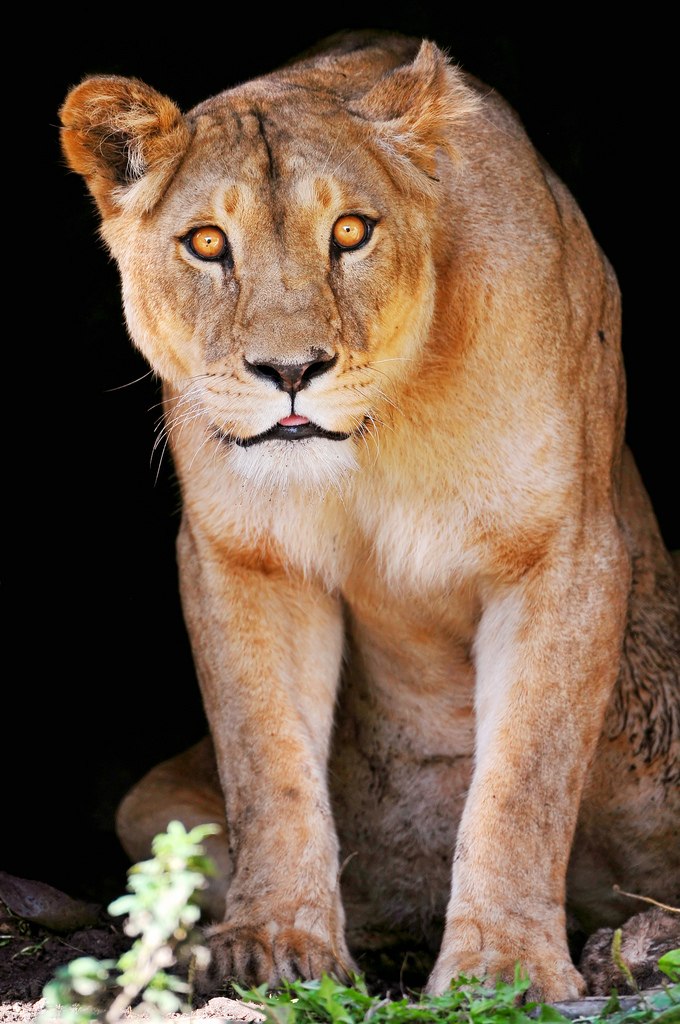 Natalia Sharkova | Санкт-Петербург