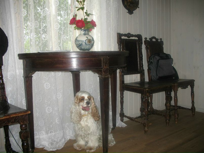 Виктор Василенко | Санкт-Петербург