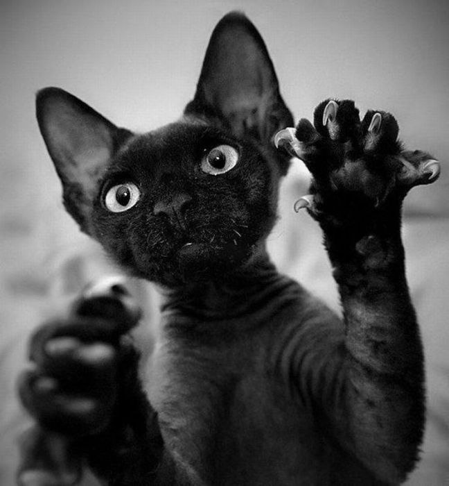 Оля Вербицкая ツСкорпиончиКツ | Староконстантинов