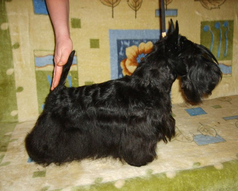 Людмила Ныробцева | Пермь