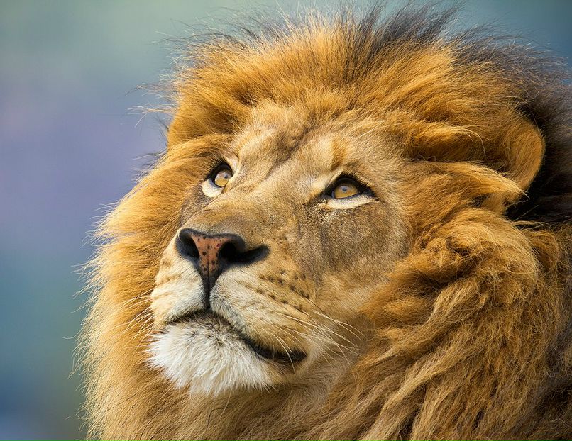 Климент Краснов | Владивосток