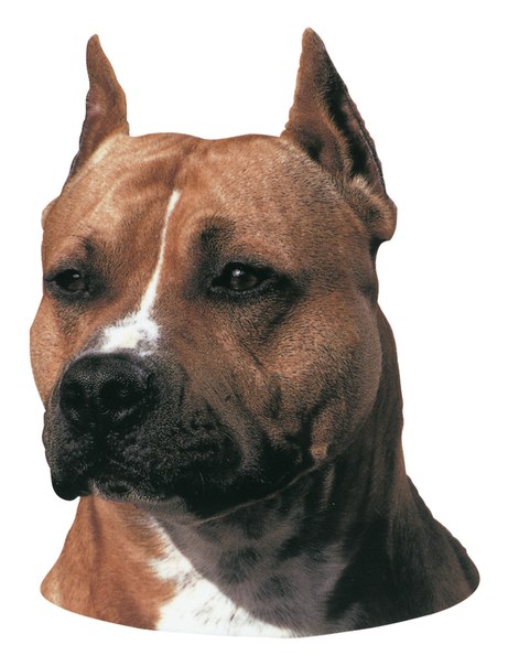 №1, Игорь Никонов №1, Игорь Никонов