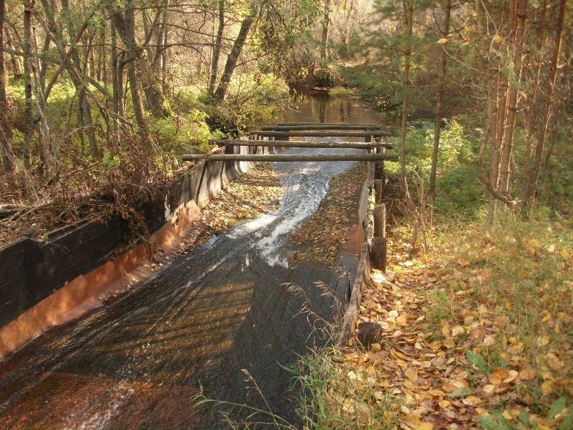 Сергей Потапов | Кузнецк