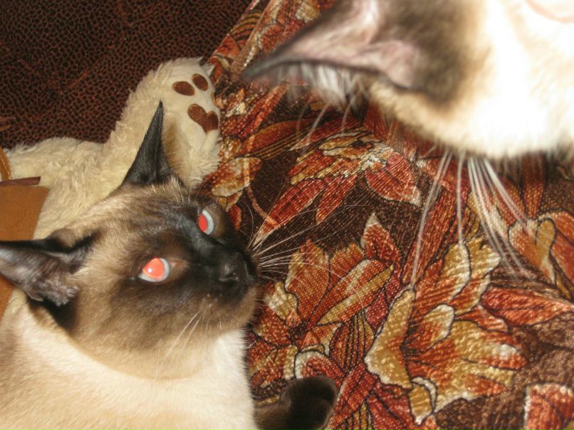 Марина Маркова | Санкт-Петербург