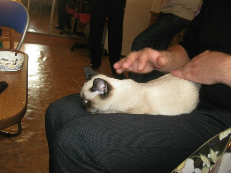 Марина Маркова | Санкт-Петербург