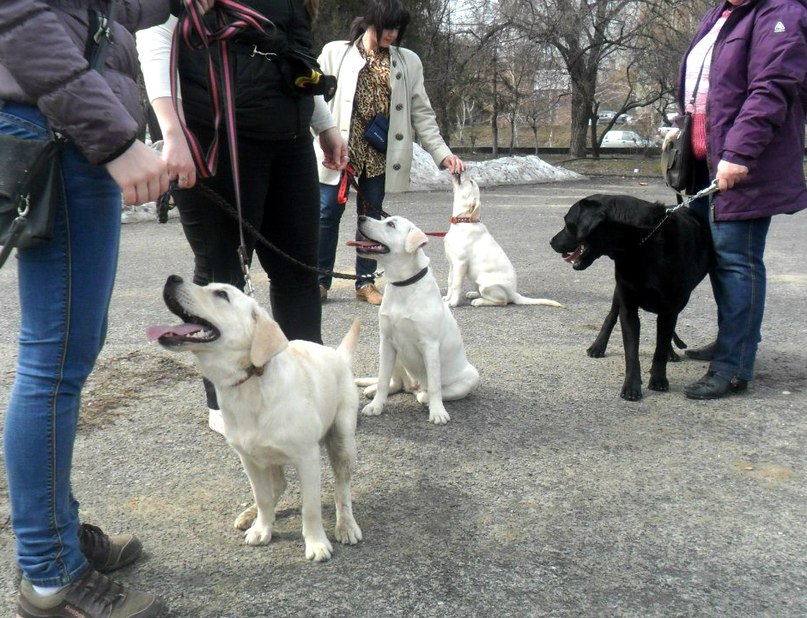Елена Анфимова | Санкт-Петербург
