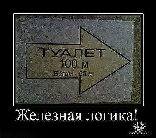 Виктория Даричева | Севастополь