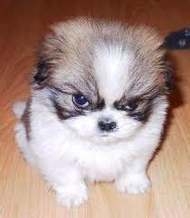 Мар'яна Бобрівець | Тернополь