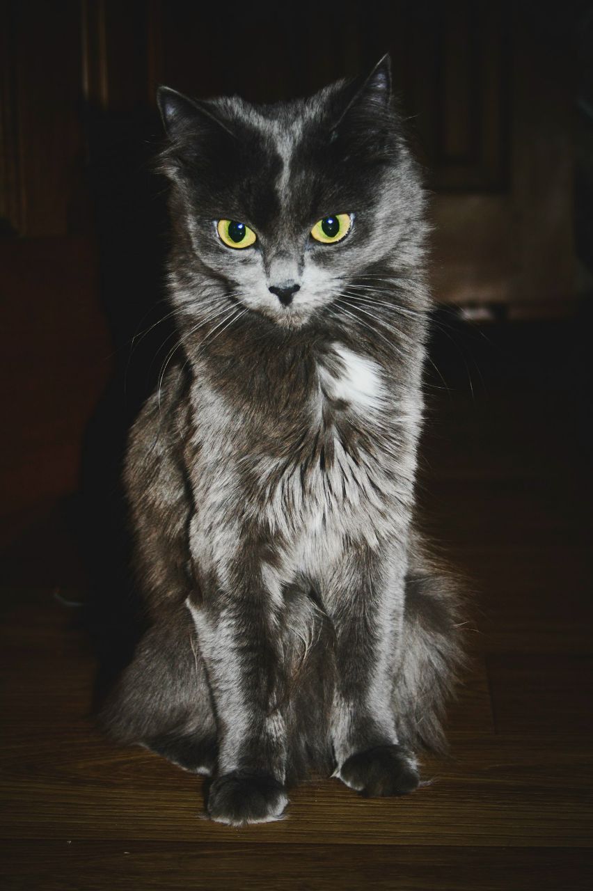 Даша Горьковая | Frankfurt am Main