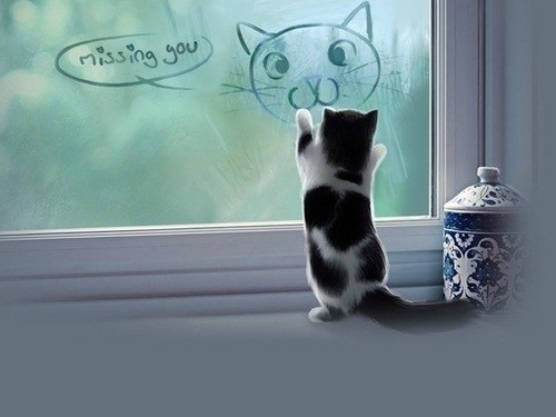 Оленька Клеванова | Ростов-на-Дону