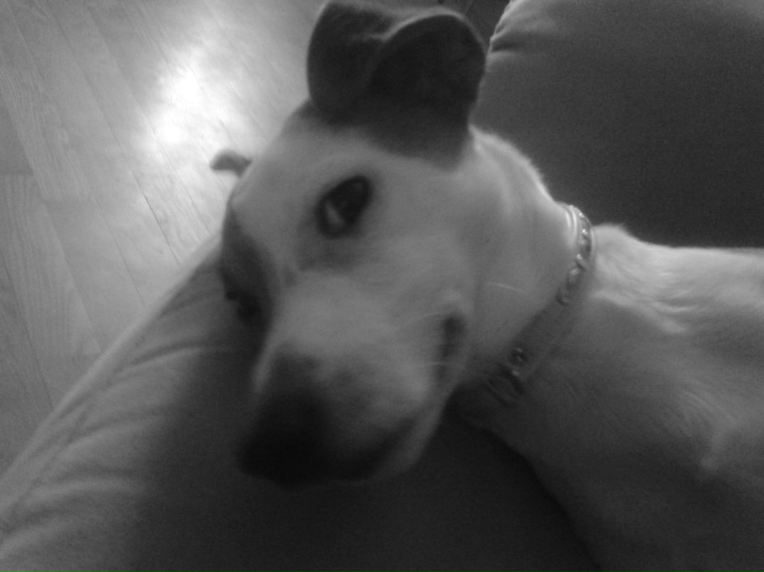 Мария Хирная | Харьков