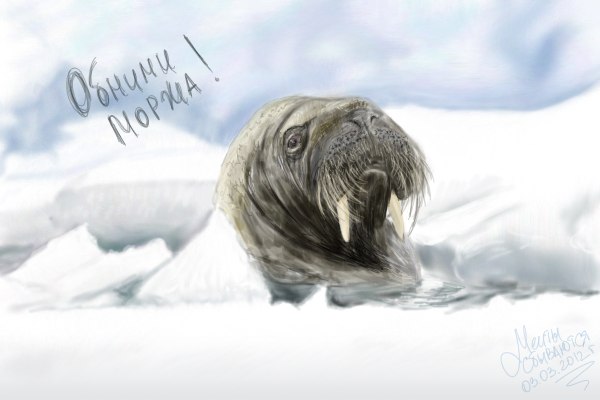 Катерина Балакирева greenland | Санкт-Петербург