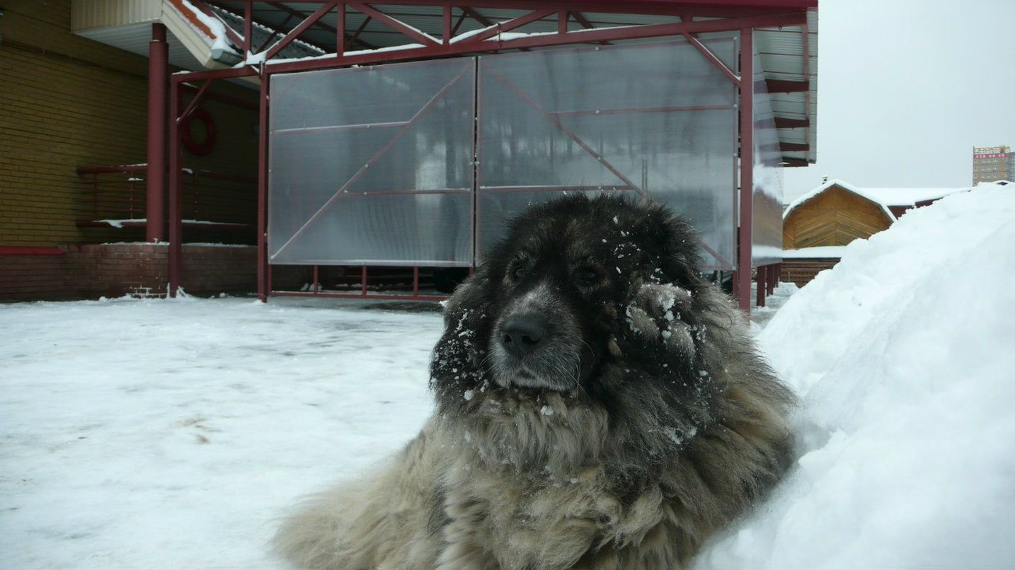 Валерий Кузовков | Нижний Новгород