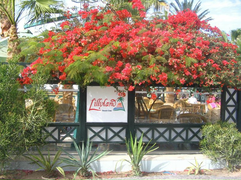 Роман Скобеев | Гатчина