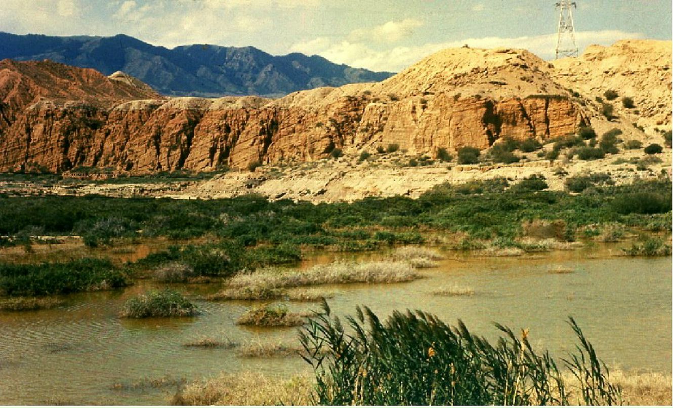 Никита Шевченко | Санкт-Петербург