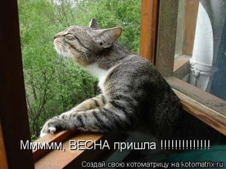 Юля Зибарова | Санкт-Петербург