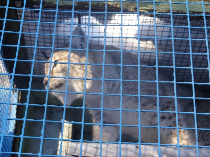 Руслан Зибров | Петропавловск-Камчатский