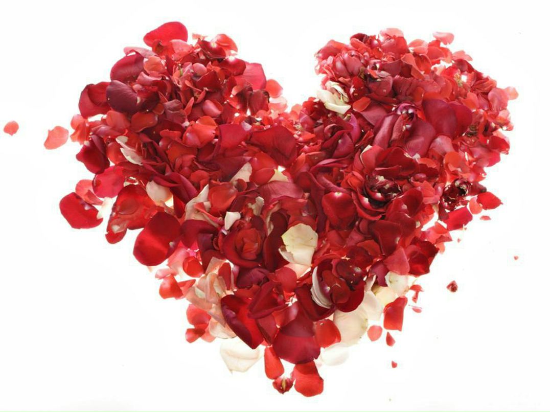 Тахмина Любешкина-Пшокина | Москва