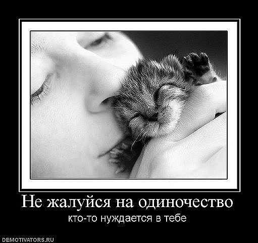 Max Ivanov | Санкт-Петербург