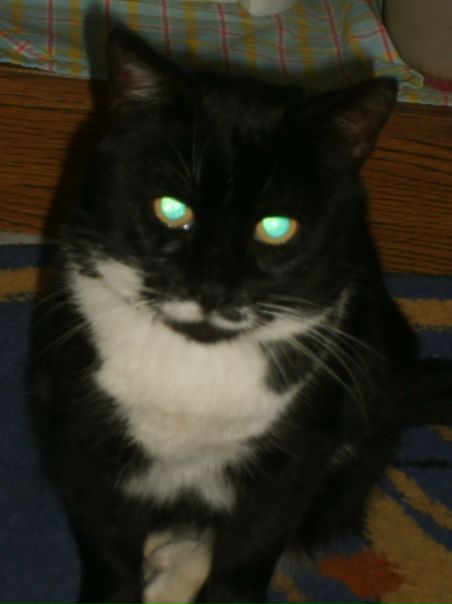 №38, Олег Бециян, 52 года, Москва №38, Олег Бециян, 52 года, Москва