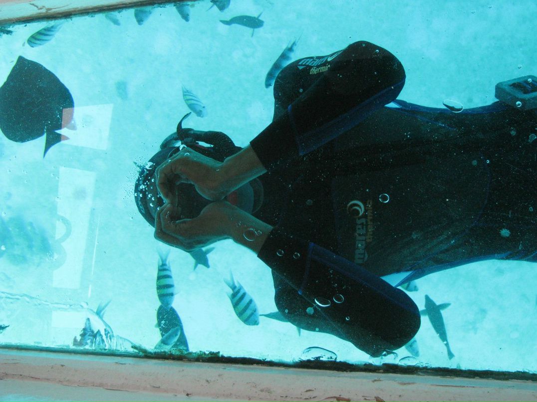 Юлия Болдырева | Починки