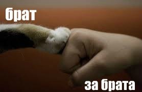 №84, Roma Oliynuk, Тернополь №84, Roma Oliynuk, Тернополь