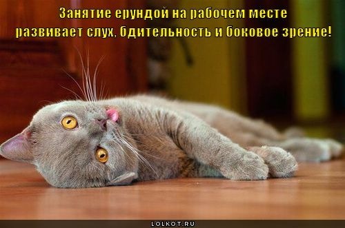 №49, Катерина Моросина, 43 года, Москва №49, Катерина Моросина, 43 года, Москва