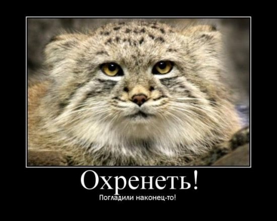 Наталья Калашникова | Вологда