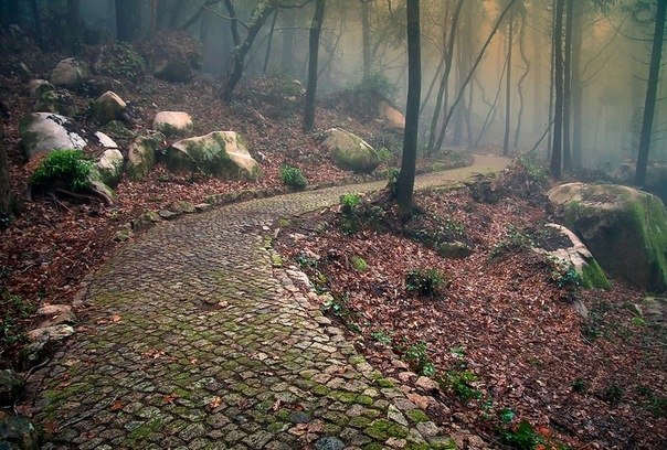 Петр Тохтер | Кингисепп